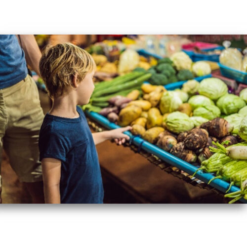 Descubriendo el Mercado